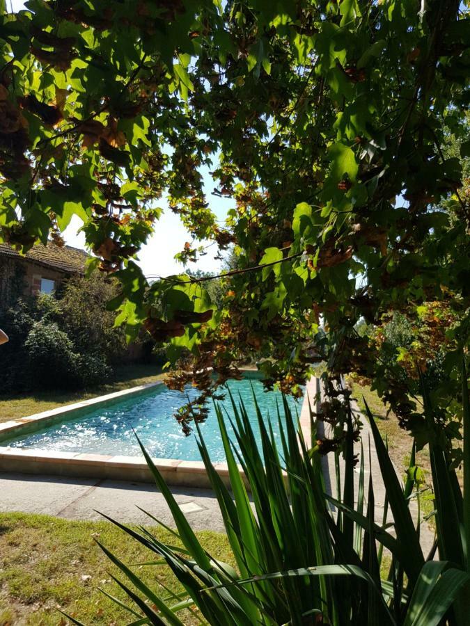 ホテル Le Manoir Du Thouron Saint-Sulpice  エクステリア 写真